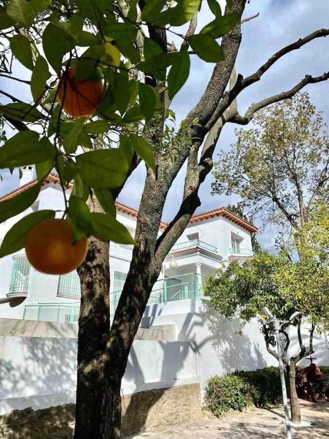 Nuevo Los Almendros 204 Complejo Turistico Apartment Córdoba Exterior foto
